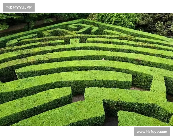 魔兽世界围栏传送攻略：跨越迷宫的奇妙之路